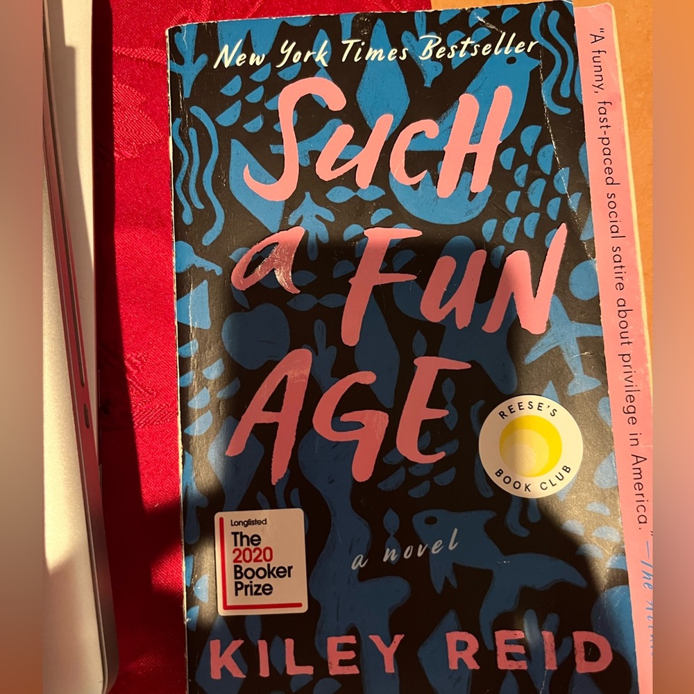 Such a Fun Age Book